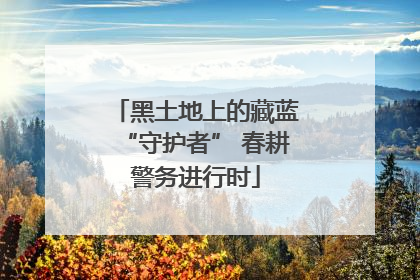 黑土地上的藏蓝“守护者” 春耕警务进行时
