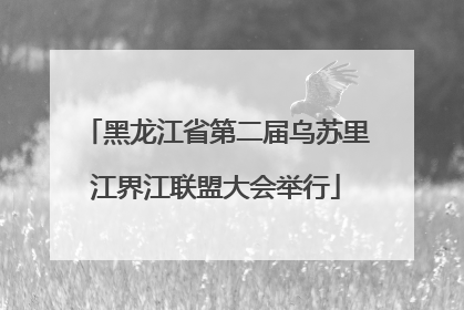 黑龙江省第二届乌苏里江界江联盟大会举行