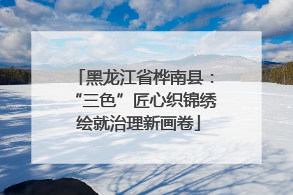 黑龙江省桦南县：“三色”匠心织锦绣 绘就治理新画卷