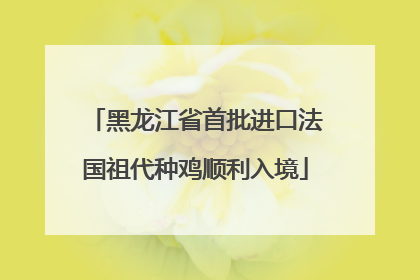 黑龙江省首批进口法国祖代种鸡顺利入境