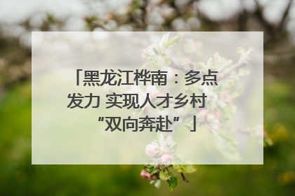 黑龙江桦南：多点发力 实现人才乡村“双向奔赴”