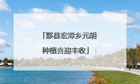 黟县宏潭乡元胡种植喜迎丰收