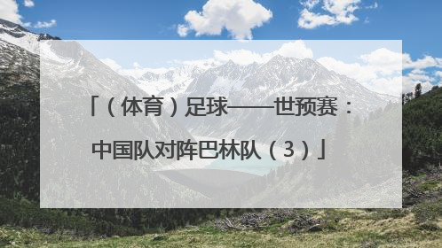 （体育）足球——世预赛：中国队对阵巴林队（3）