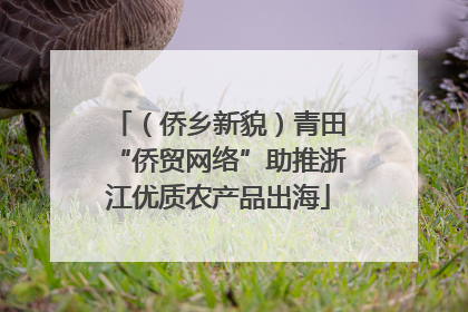 （侨乡新貌）青田“侨贸网络”助推浙江优质农产品出海