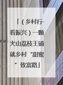 （乡村行·看振兴）一颗火山荔枝王铺就乡村“甜蜜”致富路
