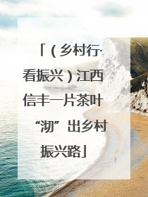 （乡村行·看振兴）江西信丰一片茶叶“沏”出乡村振兴路