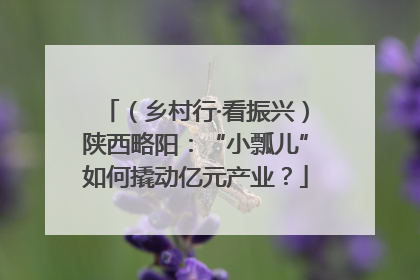 （乡村行·看振兴）陕西略阳：“小瓢儿”如何撬动亿元产业？