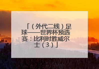 （外代二线）足球——世界杯预选赛：比利时胜威尔士（3）
