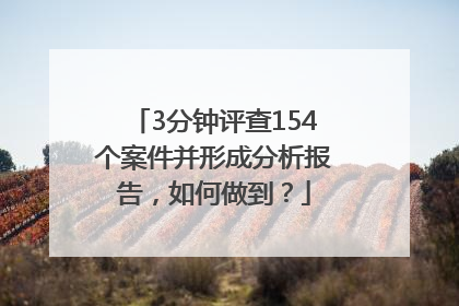 3分钟评查154个案件并形成分析报告，如何做到？
