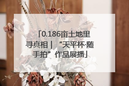 0.186亩土地里寻真相｜“天平杯·随手拍”作品展播