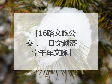 16路文旅公交，一日穿越济宁千年文脉