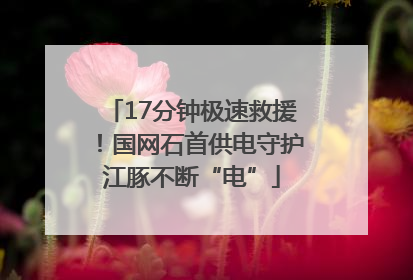 17分钟极速救援！国网石首供电守护江豚不断“电”
