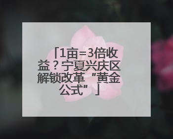 1亩=3倍收益？宁夏兴庆区解锁改革“黄金公式”