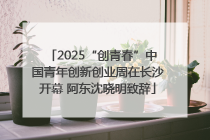 2025“创青春”中国青年创新创业周在长沙开幕 阿东沈晓明致辞
