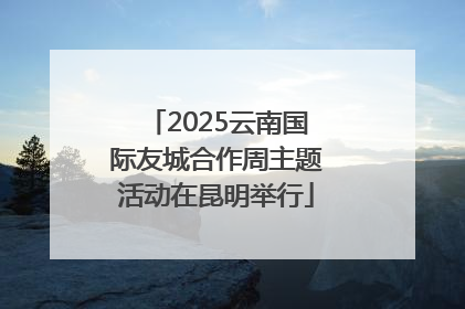 2025云南国际友城合作周主题活动在昆明举行