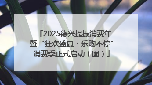 2025德兴提振消费年暨“狂欢盛夏・乐购不停”消费季正式启动（图）