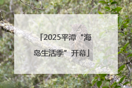 2025平潭“海岛生活季”开幕
