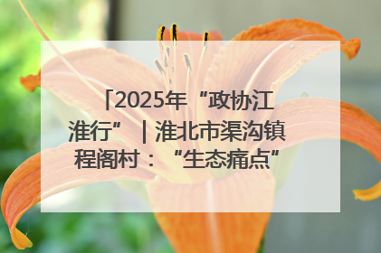 2025年“政协江淮行”｜淮北市渠沟镇程阁村：“生态痛点”变“生态景观”