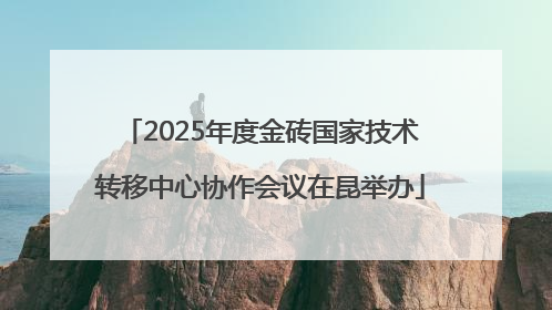 2025年度金砖国家技术转移中心协作会议在昆举办