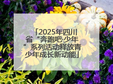 2025年四川省“奔跑吧·少年”系列活动释放青少年成长新动能