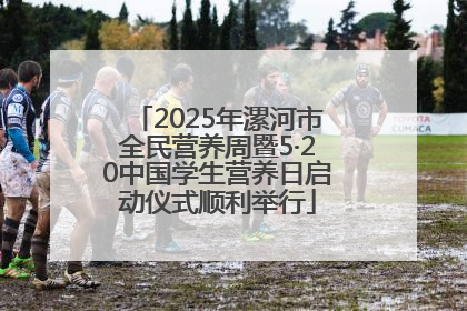 2025年漯河市全民营养周暨5·20中国学生营养日启动仪式顺利举行