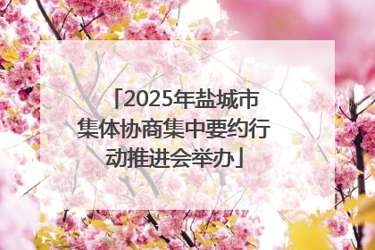 2025年盐城市集体协商集中要约行动推进会举办