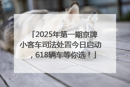 2025年第一期京牌小客车司法处置今日启动，618辆车等你选！