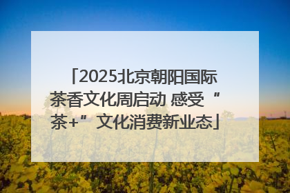 2025北京朝阳国际茶香文化周启动 感受“茶+”文化消费新业态