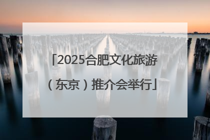 2025合肥文化旅游（东京）推介会举行