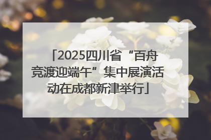2025四川省“百舟竞渡迎端午”集中展演活动在成都新津举行