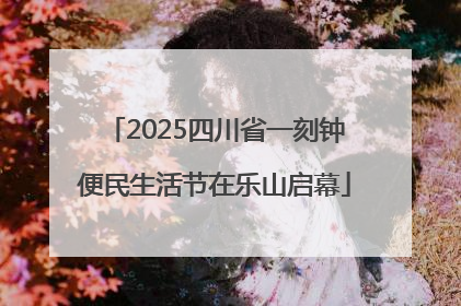 2025四川省一刻钟便民生活节在乐山启幕