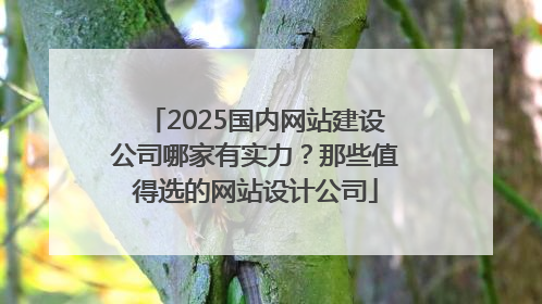 2025国内网站建设公司哪家有实力？那些值得选的网站设计公司