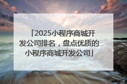 2025小程序商城开发公司排名，盘点优质的小程序商城开发公司