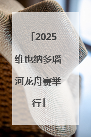 2025维也纳多瑙河龙舟赛举行
