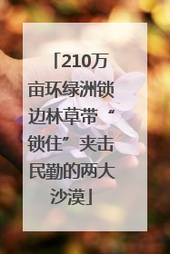210万亩环绿洲锁边林草带“锁住”夹击民勤的两大沙漠