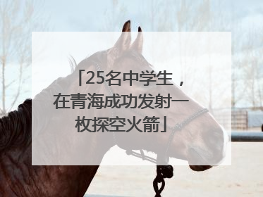 25名中学生，在青海成功发射一枚探空火箭