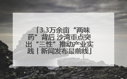 3.3万余亩“两味药”背后 沙湾重点突出“三性”推动产业实践丨新闻发布最前线