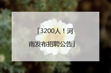 3200人！河南发布招聘公告