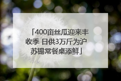 400亩丝瓜迎来丰收季 日供3万斤为沪苏锡常餐桌添鲜