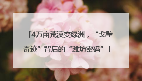 4万亩荒漠变绿洲，“戈壁奇迹”背后的“潍坊密码”