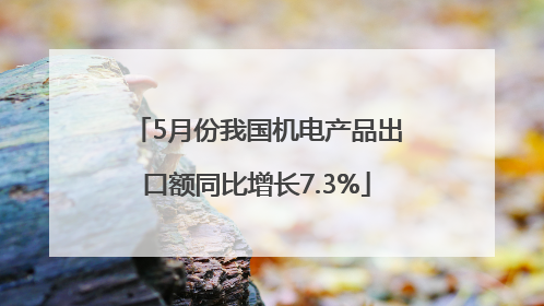 5月份我国机电产品出口额同比增长7.3%