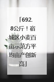 692.8公斤！宿城区小麦百亩示范方平均亩产创新高
