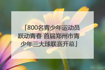 800名青少年运动员跃动青春 首届郑州市青少年三大球联赛开幕