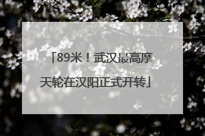 89米！武汉最高摩天轮在汉阳正式开转