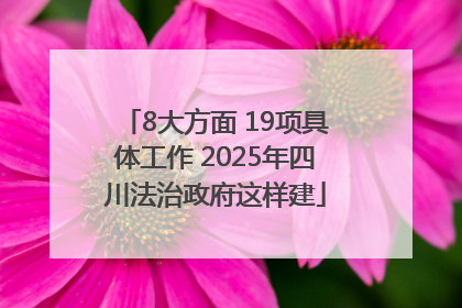 8大方面 19项具体工作 2025年四川法治政府这样建