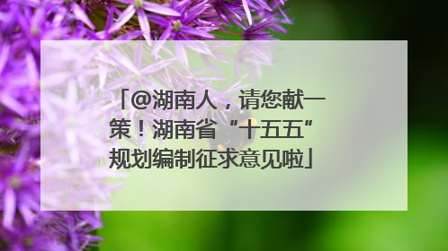@湖南人，请您献一策！湖南省“十五五”规划编制征求意见啦