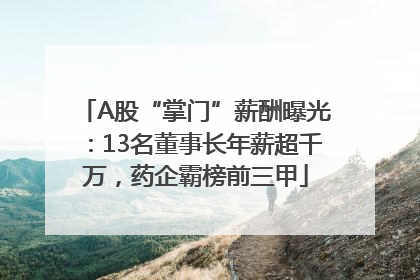 A股“掌门”薪酬曝光：13名董事长年薪超千万，药企霸榜前三甲