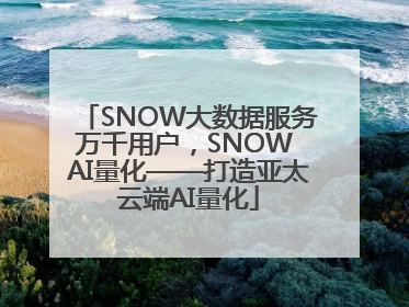 SNOW大数据服务万千用户，SNOW AI量化——打造亚太云端AI量化