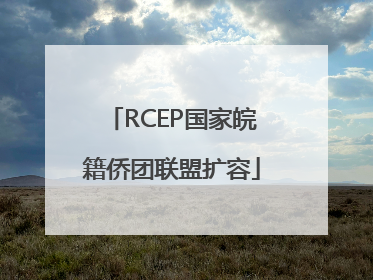 RCEP国家皖籍侨团联盟扩容